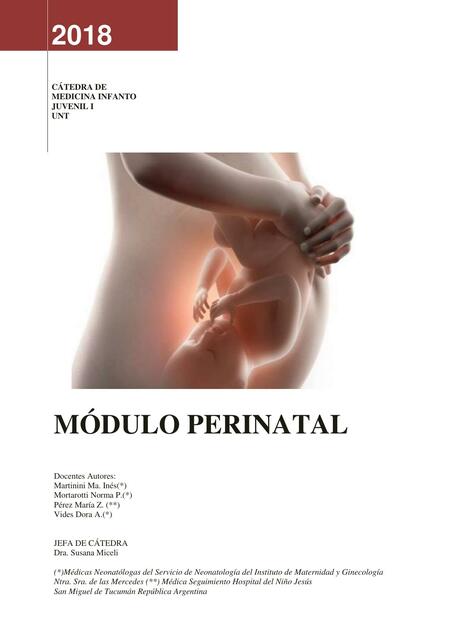 Modulo perinatal