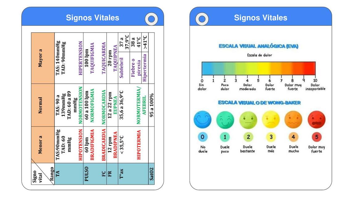 Flash card de Signos vitales