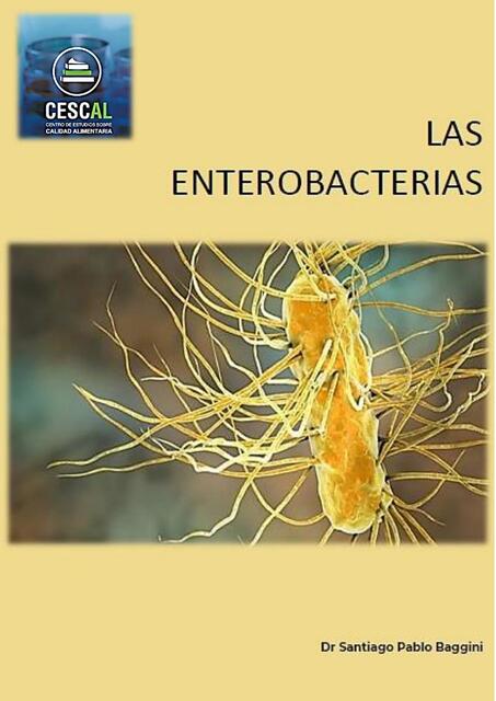  Las Enterobacterias 