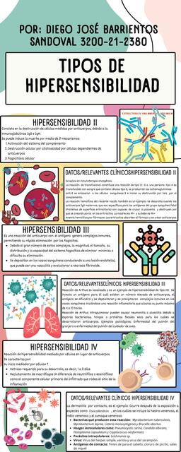 Tipos de hipersensibilidad