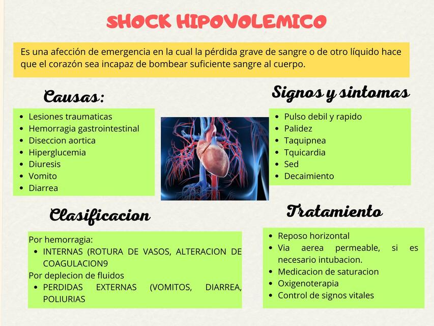 Shock Hipovolémico | Erica AF | uDocz