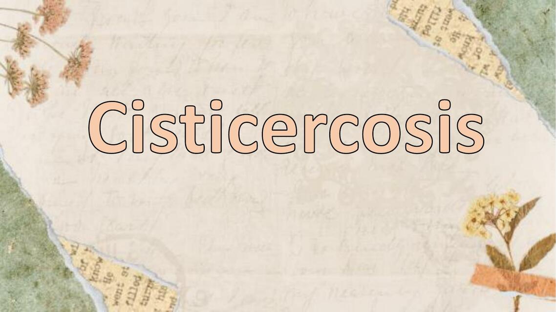 Cisticercosis 