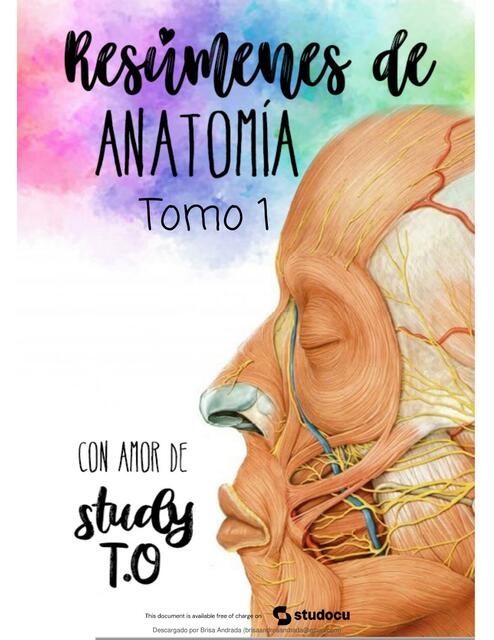 Resúmenes de Anatomía 