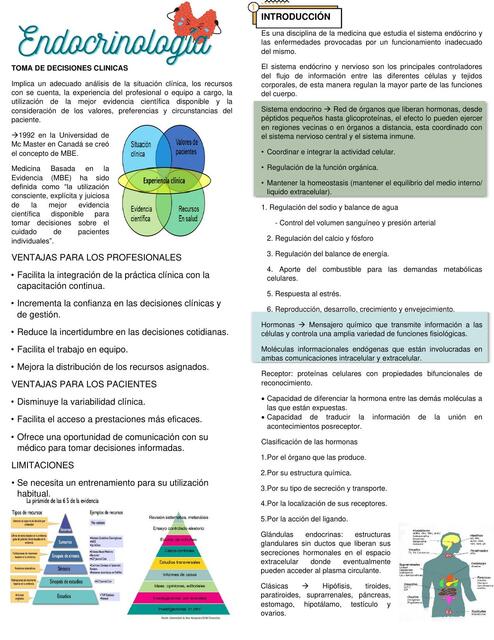 ENDOCRINOLOGIA