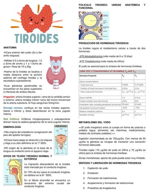 TIROIDES ENDOCRINO