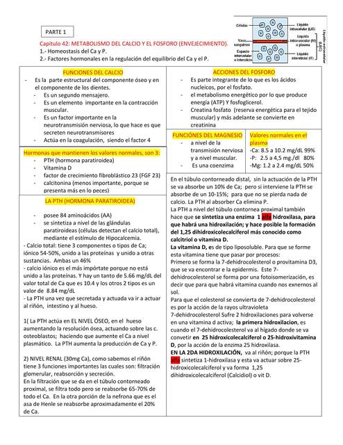 Capítulo 42 metabolismo de calcio y el fosforo 