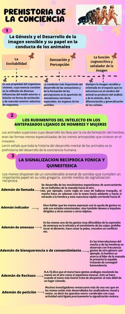 Prehistoria de la Conciencia