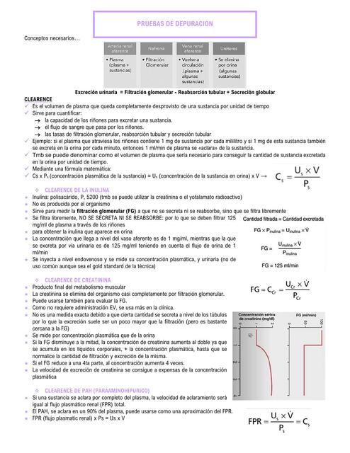 PRUEBAS DE DEPURACION