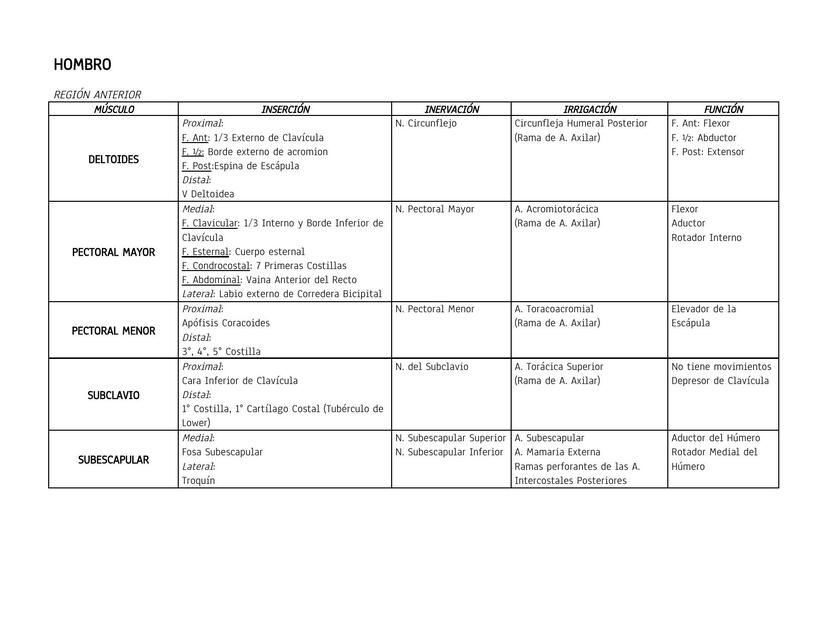 Músculos del miembro superior Hombro y brazo 