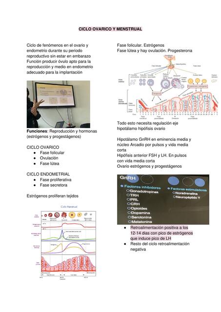 Ciclo ovarico  menstrual 