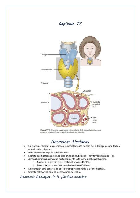 Hormonas tiroideas