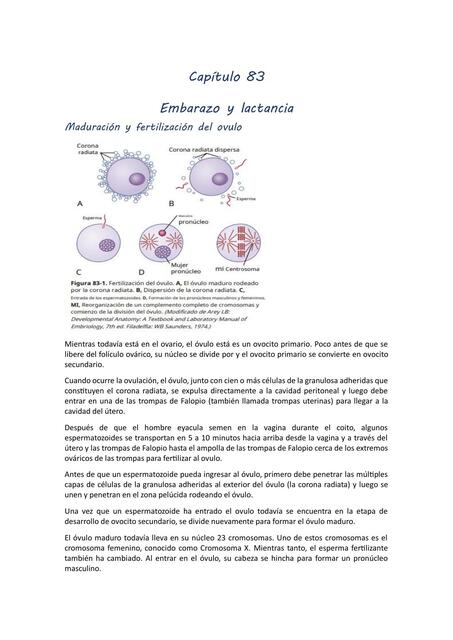 Embarazo y lactancia 