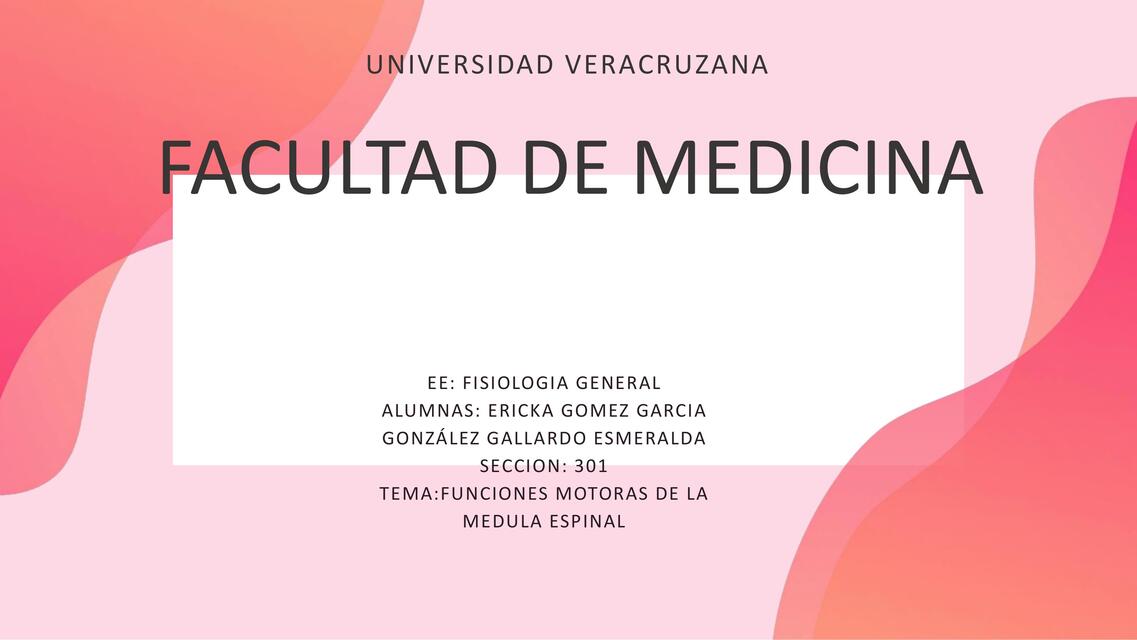 Médula Espinal Edgar Gonzalez Udocz