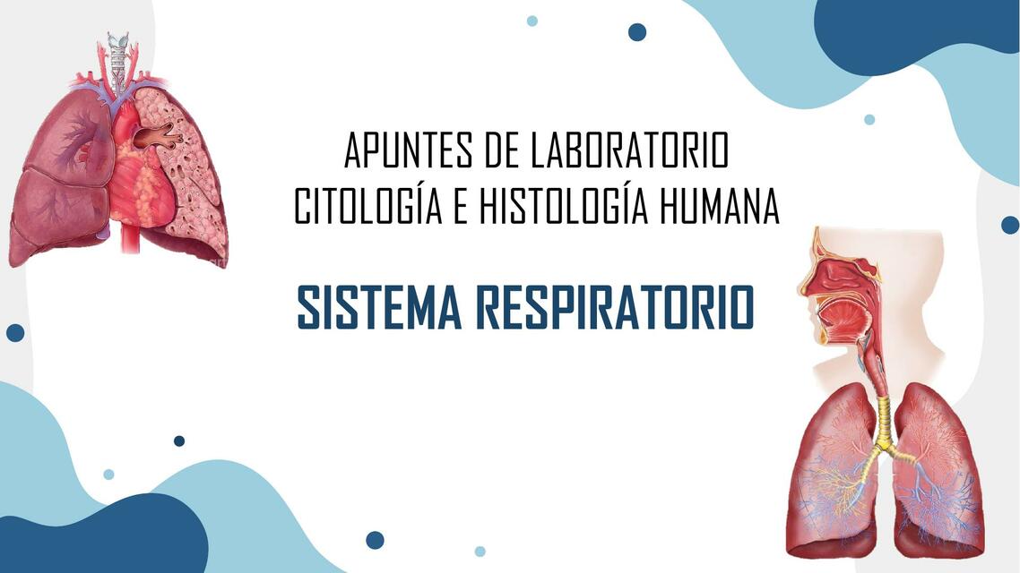 Citología sistema respiratorio