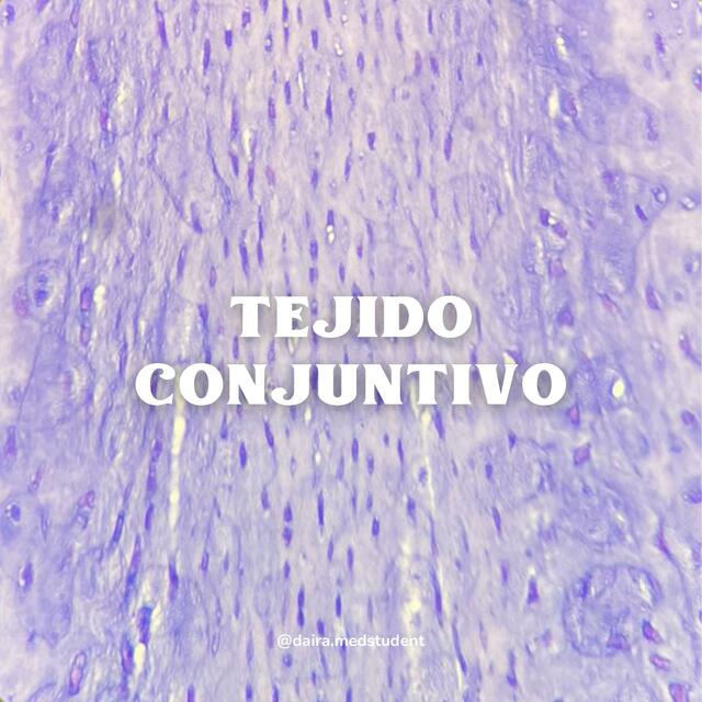 TEJIDO CONJUNTIVO