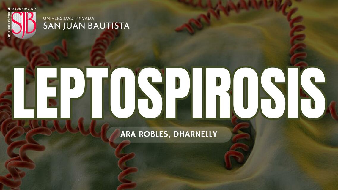 Leptospirosis 