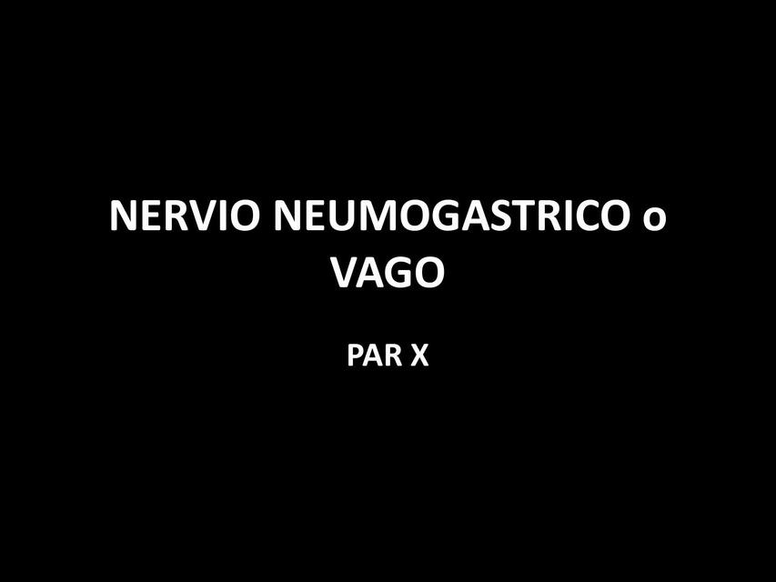 Nervio Neumogástrico o Vago 