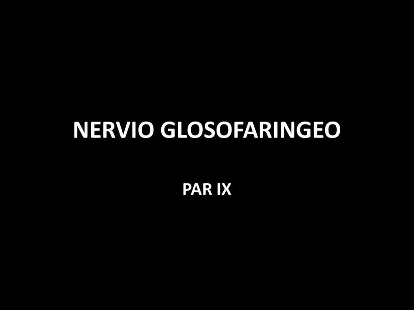 Nervio Glosofaríngeo 