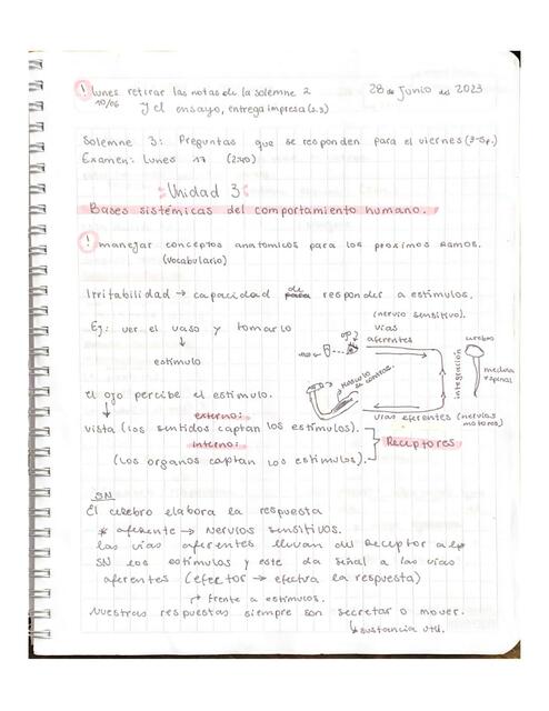 Apuntes fundamentos biologicos Parte 3