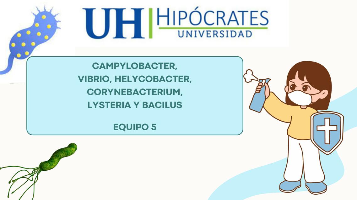 Campylobacter, Vibrio, Helycobacter, Corynebacterium, Lysteria y Bacilus 