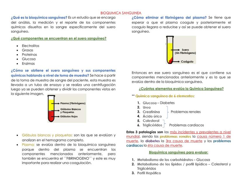 Bioquimica Sanguinea