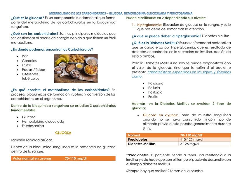 Metabolismo de carbohidratos - glucosa