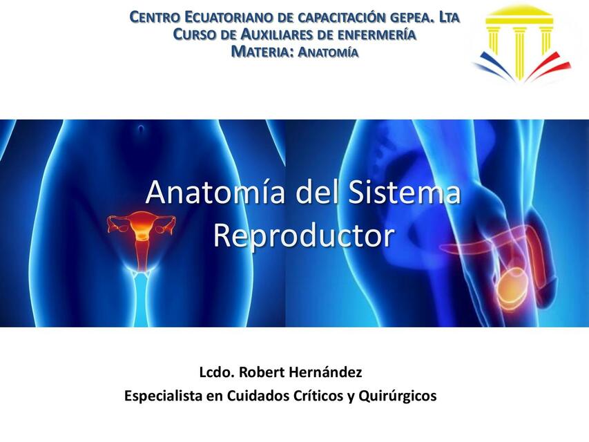 Anatomía del Sistema Reproductor 