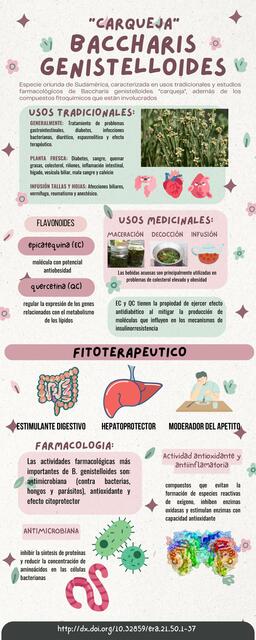 "CARQUEJA" Baccharis genistelloides/Infografía