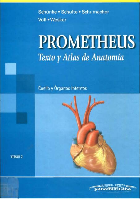 PROMETHEUS TOMO 2 Cuello y Organos Internos