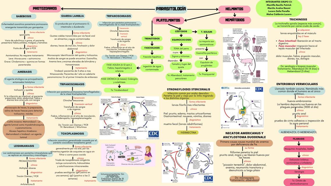 Parasitología 