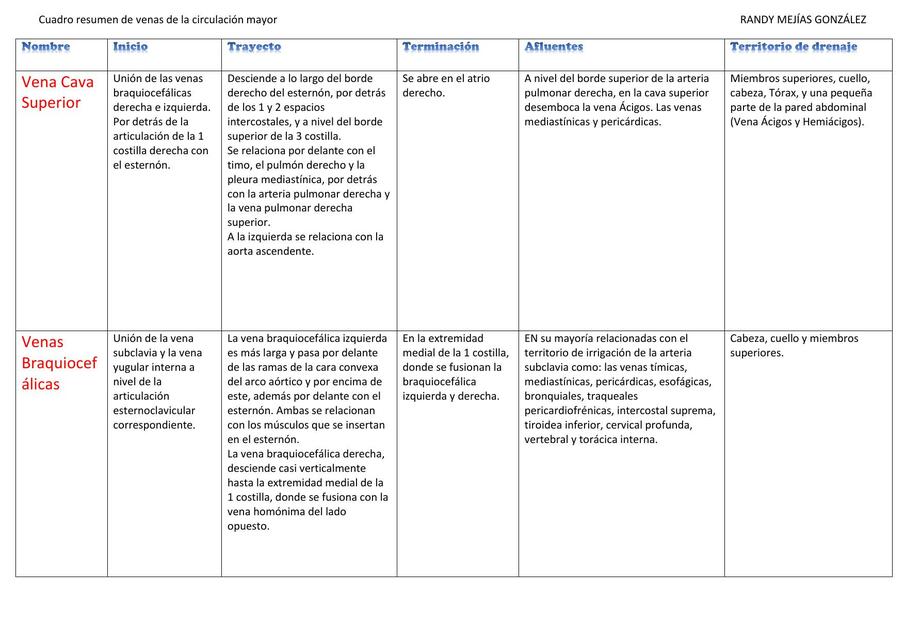 CUADRO RESUMEN DE VENAS