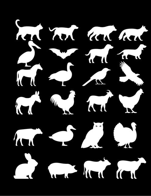 animales