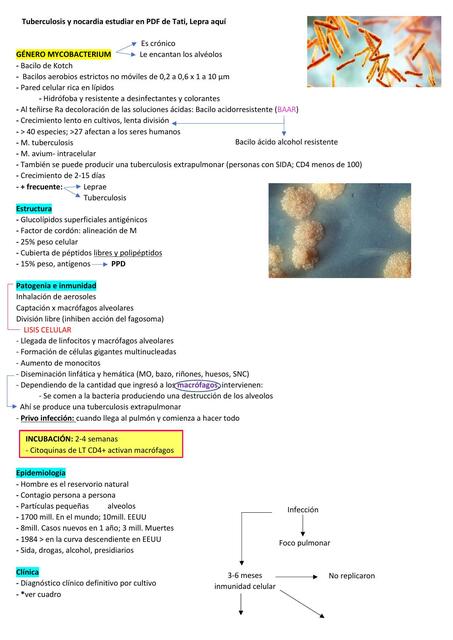 Género Mycobacterium 