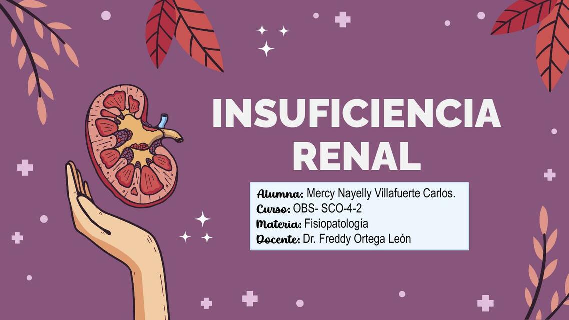 Insuficiencia Renal 