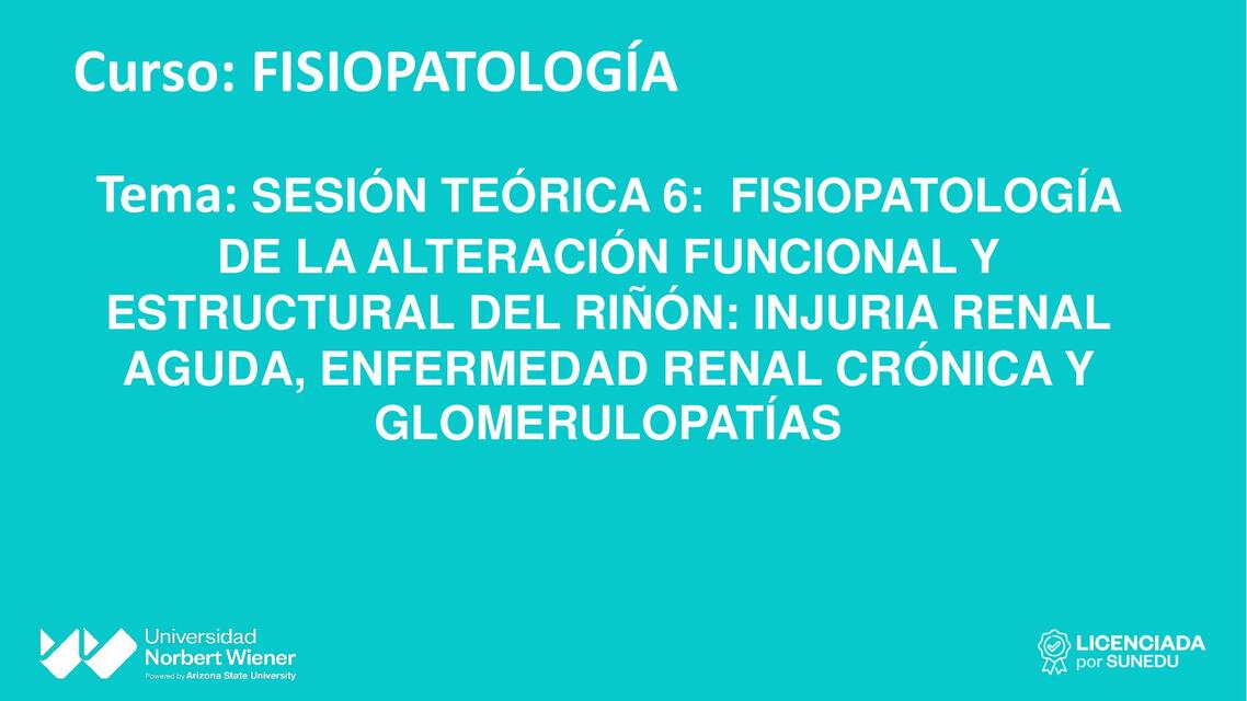 Fisiopatología de la Alteración Funcional y Estructural del Riñón 