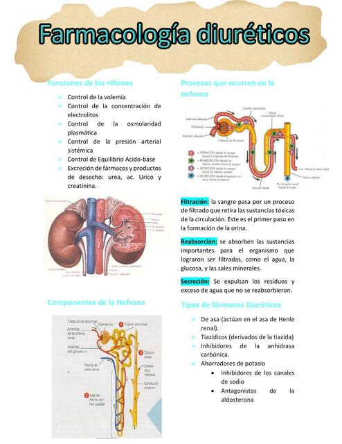 Farmacología diuréticos