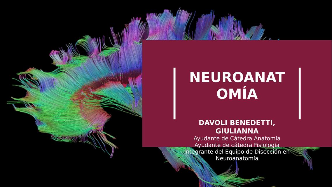 Generalidades Neuroanatomía - Resumen