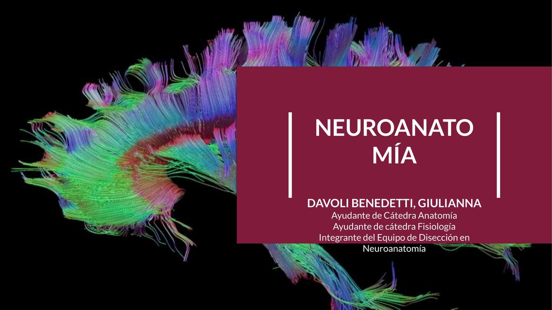 Generalidades Neuroanatomía - Resumen