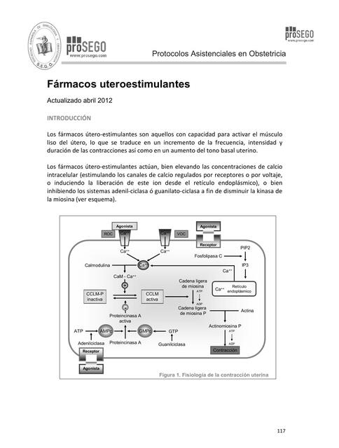 Fármacos Útero Estimulantes 