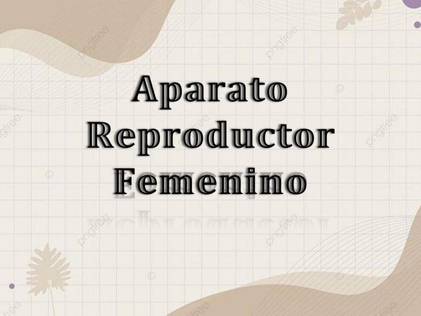 Aparato Reproductor Femenino 