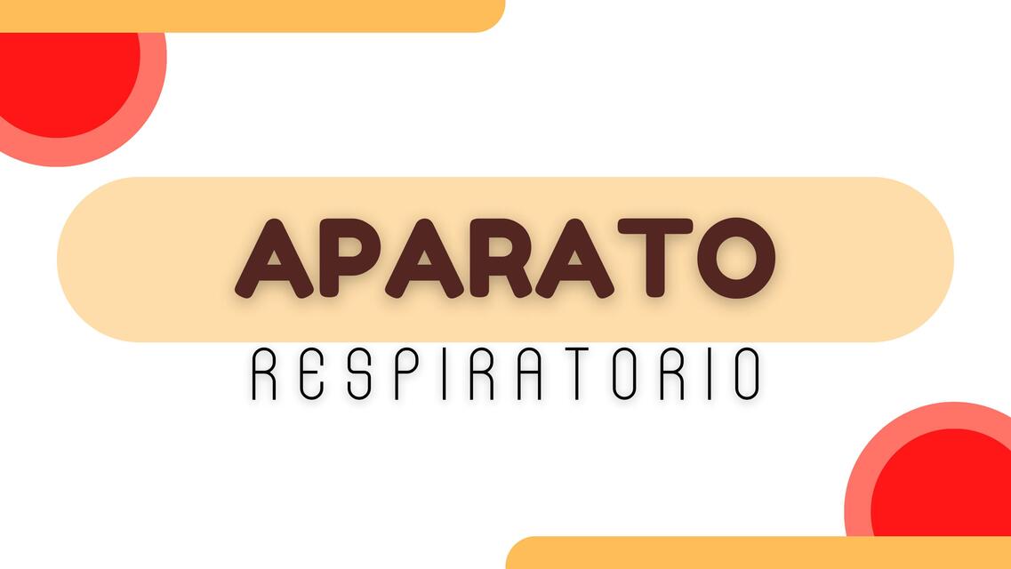 Aparato respiratorio 