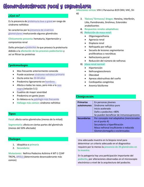 Glomeruloesclerosis focal y segmentaria Hami_notes uDocz