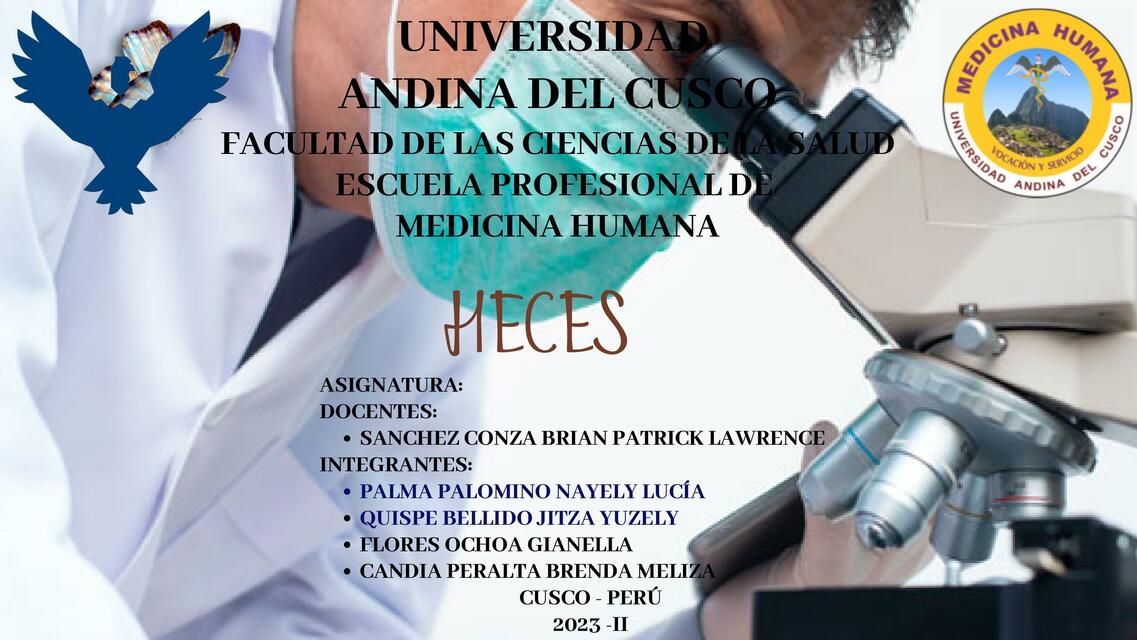 Examen de heces