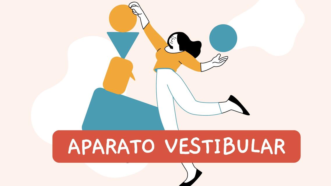 Aparato vestibular 