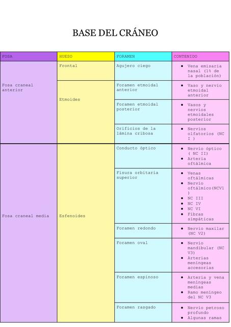 Base del cráneo 
