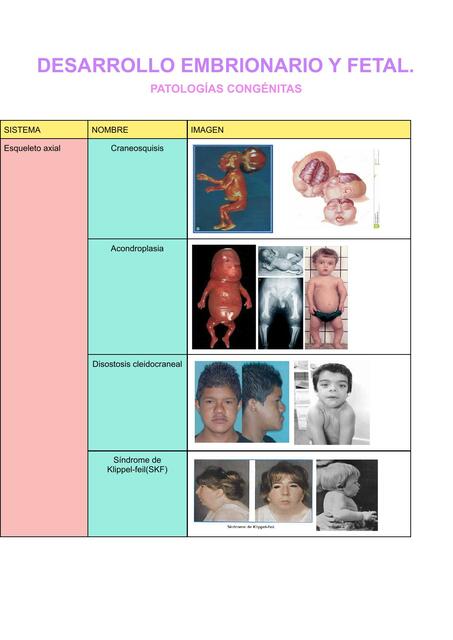 Patologías congénitas