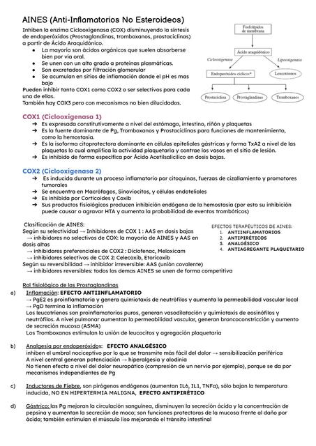 AINES Anti Inflamatorios No Esteroideos