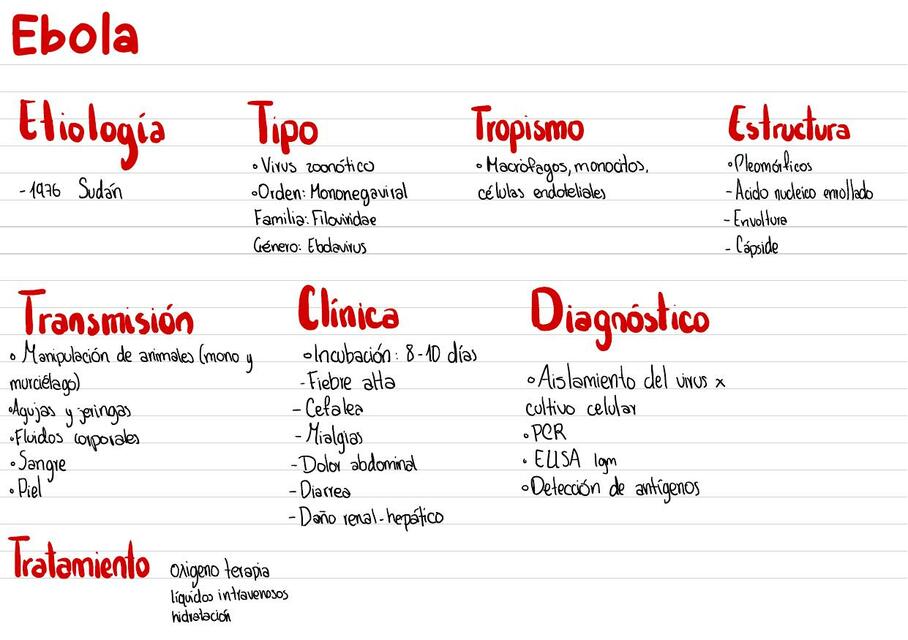 Microbiología médica y parasitología