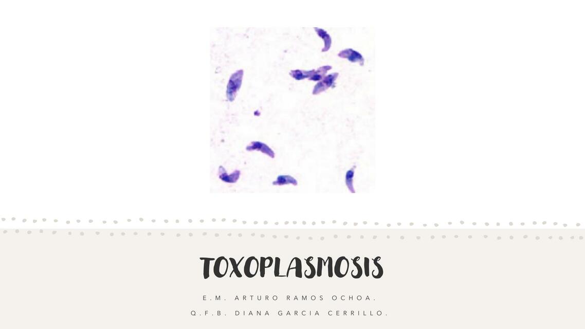 Toxoplasmosis