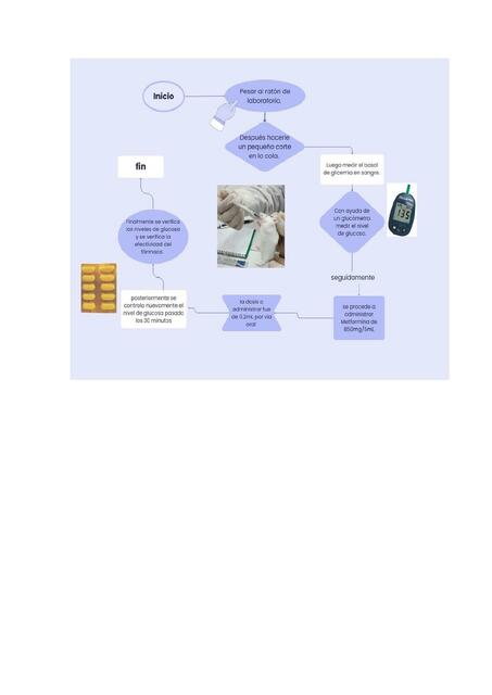 Diagrama de flujo toma de glucosa 